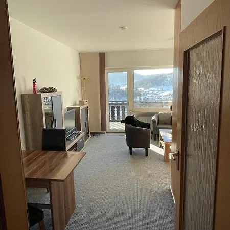 Lejlighed Seeblick App Am Berg Vor Den Toren Winterbergs *